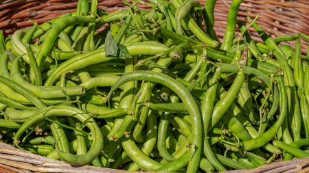 Cum a ajuns un fermier din Romania sa arunce fasolea pe marginea drumului. Sa produc cu 5 lei si sa vand cu 3?