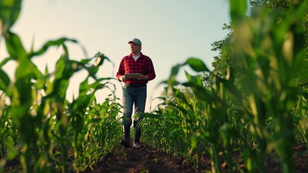 O noua mana de ajutor de la PSD pentru agricultori: 