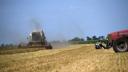 Dezastru in agricultura din Romania din cauza caldurii extreme. Seceta va duce la <span style='background:#EDF514'>CRESTEREA PRETURILOR</span>