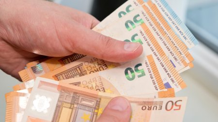 Bulgaria se apropie de intrarea in zona euro