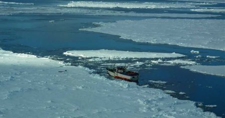 Riscurile topirii necontrolate a calotei glaciare a Antarcticii