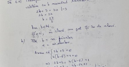 Evaluarea Nationala 2024. Profesor de Matematica: Daca nu gresesc la <span style='background:#EDF514'>GRILA</span>, elevii pot lua un sapte. Rezolvarea subiectelor