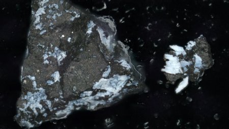 O mostra surprinzatoare arata ca asteroidul Bennu ar proveni dintr-o lume oceanica: Sugereaza un trecut apos