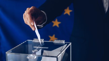 CAB obliga BEC la renumararea voturilor pentru Alegerile Europarlamentare in mai multe judete