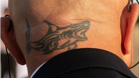 Politistii nu trebuie sa aiba tatuaje pe fata sau gat. Schimbarile aduse la <span style='background:#EDF514'>STATUTUL</span> politistului