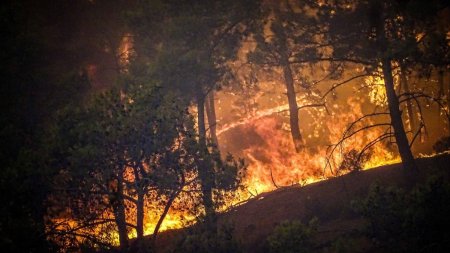 Incendiu masiv de padure, la Nord de Atena