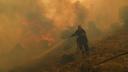 Incendii in Grecia: Interventie masiva a pompierilor pentru stingerea unui incendiu de padure, la nord de Atena