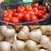 Ajutor de stat pentru cultivatorii de tomate sau usturoi Cine beneficiaza si de cat?