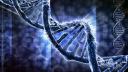 Secretele ADN-ului: cum iti poti apara vitalitatea