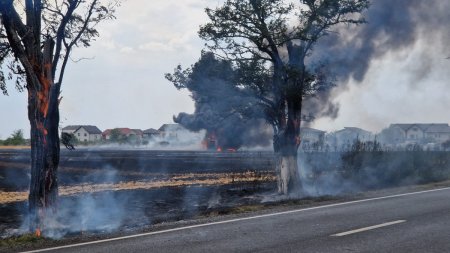 Incendiu puternic, pe Soseaua Oltenitei din Popesti-Leordeni, langa Bucuresti: Un mesaj Ro-Alert a fost trimis locuitorilor din zona