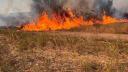 Trafic oprit pe DN 4, in zona localitatii Popesti-Leordeni, din cauza incendiului de vegetatie