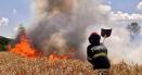 FOTO Prapadul din Grecia nordului. Incendiile fac ravagii de doua luni. Canicula si inconstienta, principalele cauze