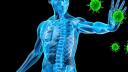 Sistemul imunitar: ce rol joaca celulele natural killer