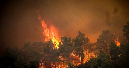 Fulgerele declanseaza incendii de vegetatie pe insula greceasca Thassos
