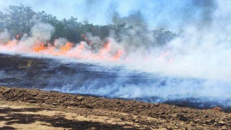 Incendiu de proportii in Vaslui. Zeci de hectare de vegetatie au ars. Pompierii intervin cu mai multe autospeciale