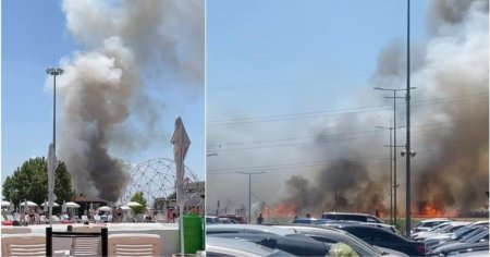 Incendiu puternic langa Bucuresti. A luat foc vegetatia uscata din apropierea unui centru comercial