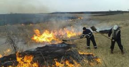 Opriti arderile de vegetatie! Pompierii anunta ca in ultimele 24 de ore au ars 300 de hectare de teren agricol si paduri