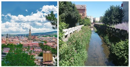 Orasul din Ardeal mai avansat decat Clujul: Noi avem chiar si doua randuri de garduri la ape