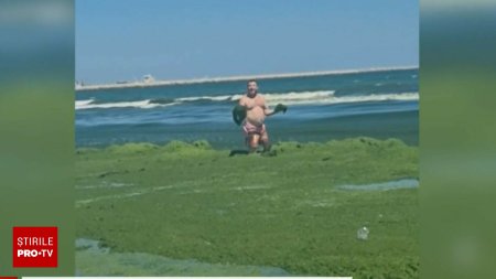 Plaja din Romania inv<span style='background:#EDF514'>ADATA</span> de alge. Imaginile socante au devenit virale pe retelele sociale