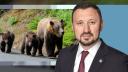 Ministrul Mediului anunta masuri drastice impotriva ursilor dupa moartea tragica a unei tinere in Muntii Bucegi