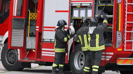 Incendiu violent la o ferma din Cluj. Peste 600 de animale au ars de vii