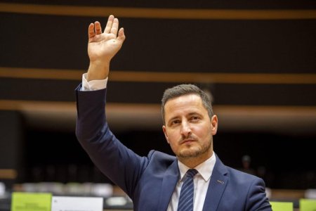 Nicu Stef<span style='background:#EDF514'>ANUTA</span> a fost ales candidatul Grupului Verzilor pentru functia de vicepresedinte al Parlamentului European