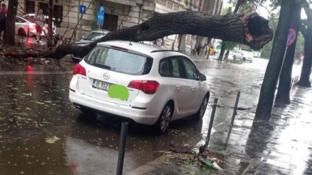 Furtuna in Bucuresti. Mai multi copaci au fost doborati. Unul a cazut pe linia de troleu