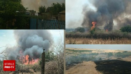 Incendiu masiv in Constanta. 20 de gospodarii au ars, in urma unui incendiu de vegetatie. VIDEO