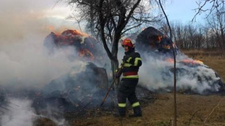 Incendiu violent la Botosani: 13 tone de furaje s-au facut scrum