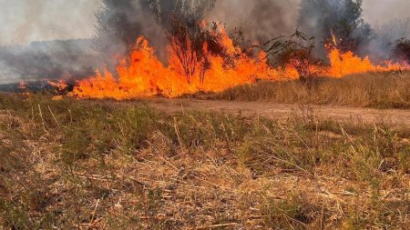 Incendiu de vegetatie la Poarta Alba. In apropiere se afla un camin pentru persoane varstnice