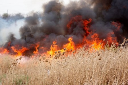 Incendiu de vegetatie uscata langa un <span style='background:#EDF514'>CAMIN DE BATRANI</span> din judetul Constanta. A fost activat Planul Rosu de Interventie