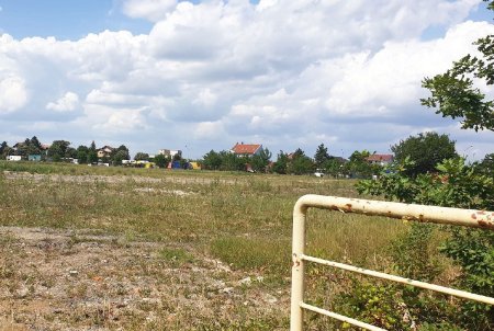 Prada caniculei si buruienilor! Stadionul istoric al Romaniei a ajuns o pajiste de nerecunoscut! Imagini-horror