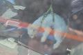 Catel lasat de stapana in masina, in plina canicula, salvat de politisti, la <span style='background:#EDF514'>RESITA</span>. O femeie a sunat la 112