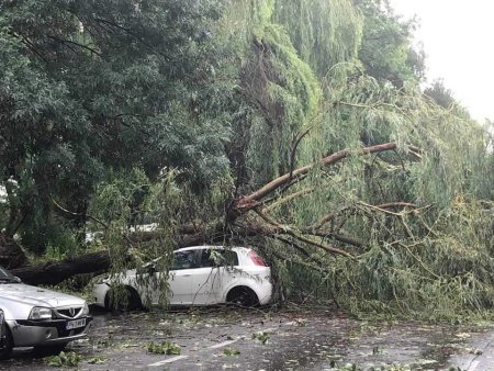 Furtuna la Ploiesti: mai multi copaci doborati de vant au cazut peste masini. Pompierii au intervenit in mai multe zone