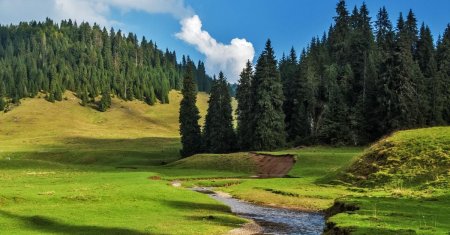 Locul ascuns din tara noastra care poarta numele de Toscana Romaniei. Peisajele iti taie rasuflarea