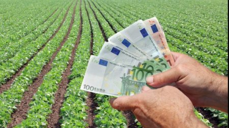 Guvernul a suplimentat limita de credite pentru Ministerul Agriculturii