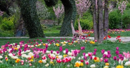 Cele mai frumoase gradini botanice din Romania, oaze de liniste si de <span style='background:#EDF514'>RELAXARE</span> FOTO