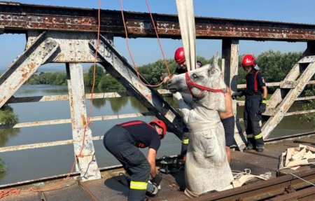 Cal ramas blocat, cu partea din spate a corpului, intr-un pod din metal din Ocna Mures, salvat de pompieri