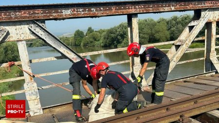 Un cal salvat de pompierii militari, dupa ce a ramas imobilizat pe un pod din fier. FOTO