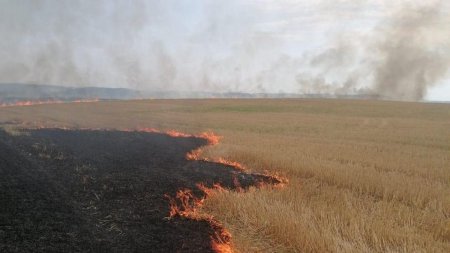 Incendiu de vegetatie. Circulatia rutiera blocata intre Turnu Magurele si Corabia