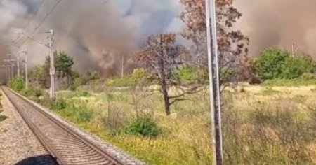 Incendiu de vegetatie langa Bucuresti. Noua echipaje de pompieri se lupta cu focul VIDEO