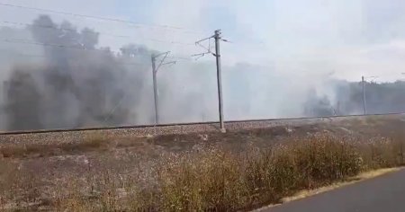 Cinci trenuri, blocate in camp, la 40 grade Celsius, din cauza unui incendiu de vegetatie. Circulatie intrerupta intre Fetesti si Ciulnita