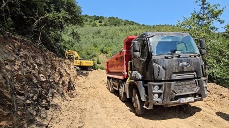 Cum decurg lucrarile de defrisare pe Valea Oltului la o saptamana de cand traficul a fost oprit. Anuntul sefului CNAIR