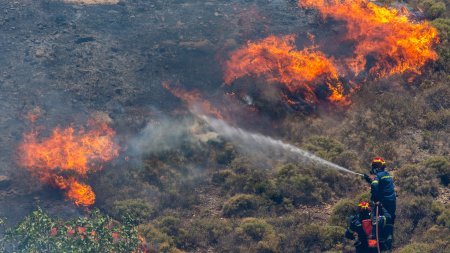 Incendii forestiere si canicula. O tara din Europa a declarat stare de criza