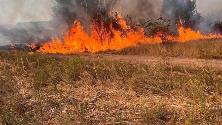 Doua incendii de vegetatie uscata in <span style='background:#EDF514'>DOLJ</span> au afectat 230 de hectare de teren