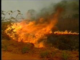 Doua incendii de vegetatie uscata in <span style='background:#EDF514'>DOLJ</span> au afectat 230 de hectare de teren