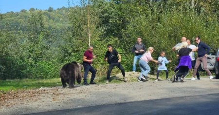 ASFOR: Politicile eco-fanatice si cele europene pun in pericol viata oamenilor. Un animal salbatic nu alege, o<span style='background:#EDF514'>MOARA</span> instinctual!