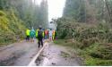 Zeci de masini blocate pe Transalpina, dupa ce mai multi copaci au cazut pe drum, in urma unei furtuni