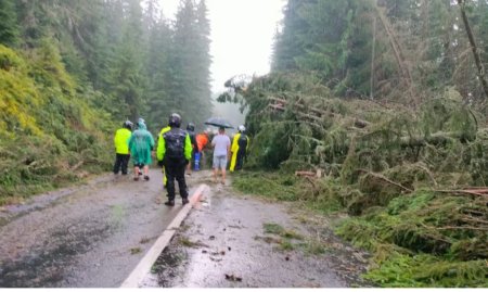 Zeci de masini blocate pe Transalpina, dupa ce mai multi copaci au cazut pe drum, in urma unei furtuni