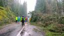 Furtuna puternica in judetul Alba: copaci cazuti pe drum, 50 de masini blocate. Cod galben de vijelii in trei judete